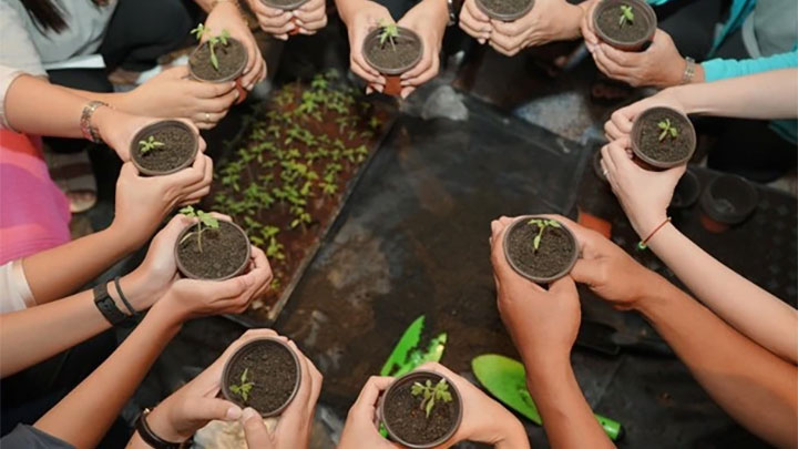 Several alumni gathered together holding seedlings